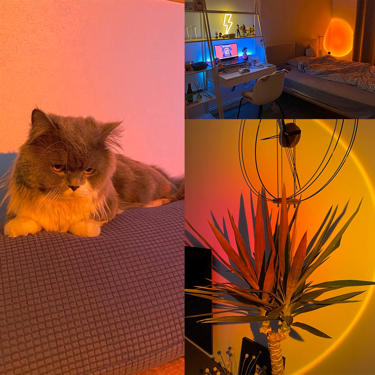 Bluetooth Sunset Lamp RustyCat Retail