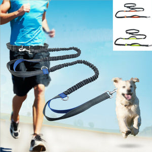 Reflective Rope Pet Leashes RustyCat Retail