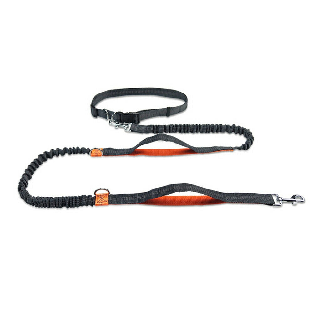 Reflective Rope Pet Leashes RustyCat Retail
