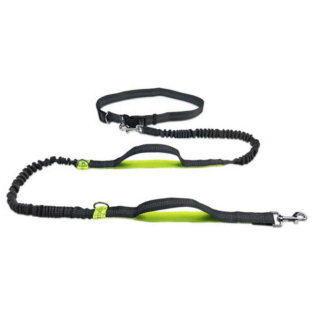 Reflective Rope Pet Leashes RustyCat Retail