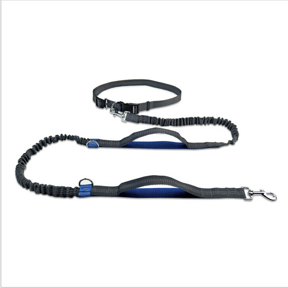 Reflective Rope Pet Leashes RustyCat Retail