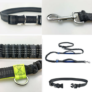 Reflective Rope Pet Leashes RustyCat Retail